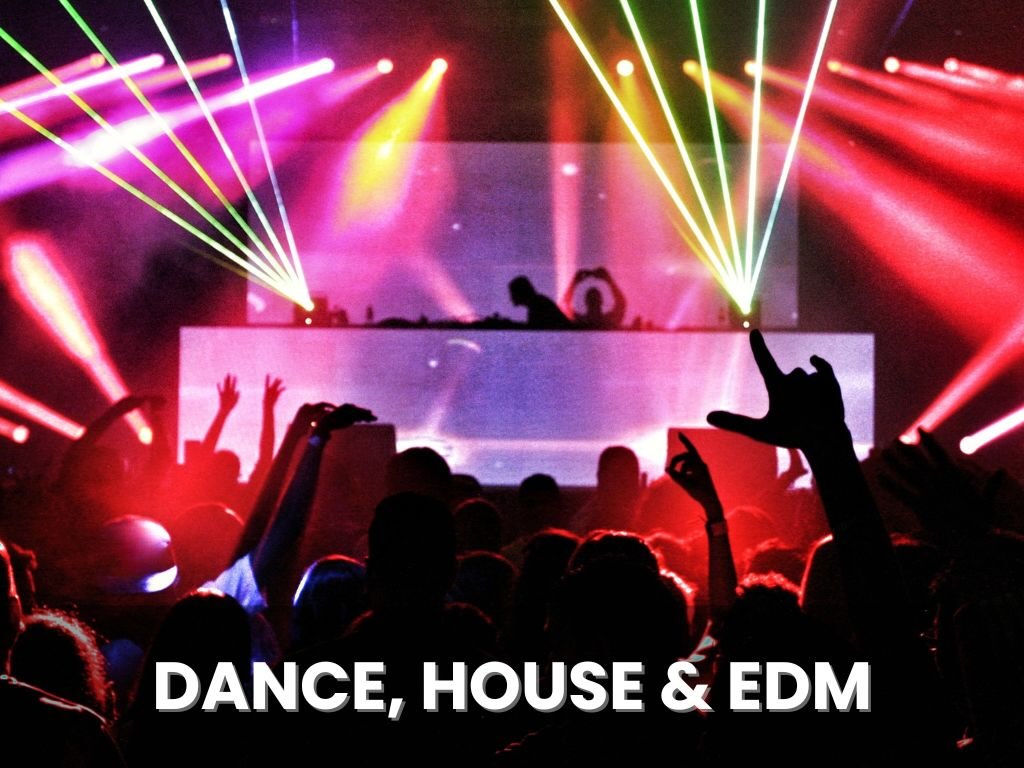 Hochzeit DJ Fulda Hessen Alex De La Groove Musikgenres Musikbibliothek Dance House EDM