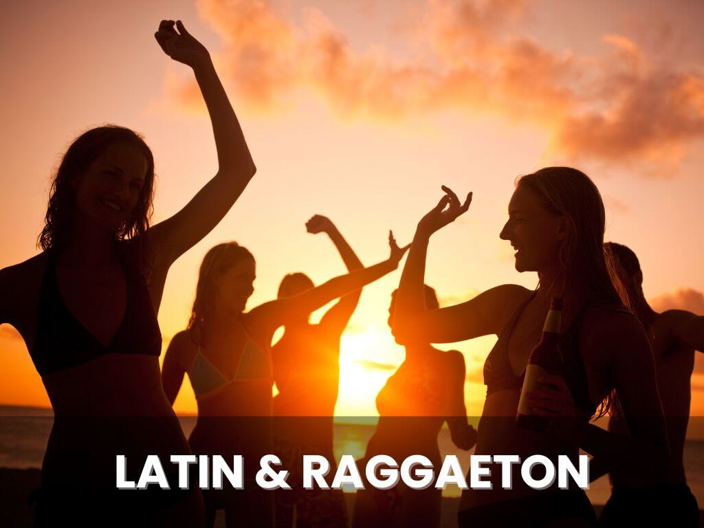 Hochzeit DJ Fulda Hessen Alex De La Groove Musikgenres Musikbibliothek Latin und Raggaeton